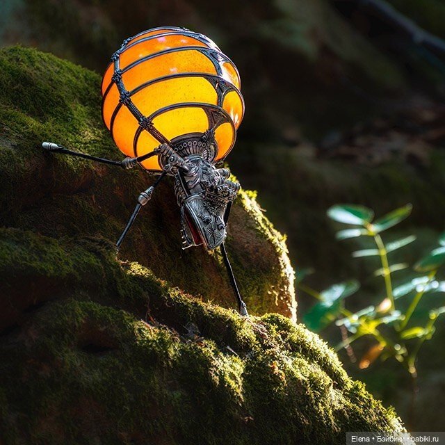 Насекомые, автор Georg Dinkel (фото 8)