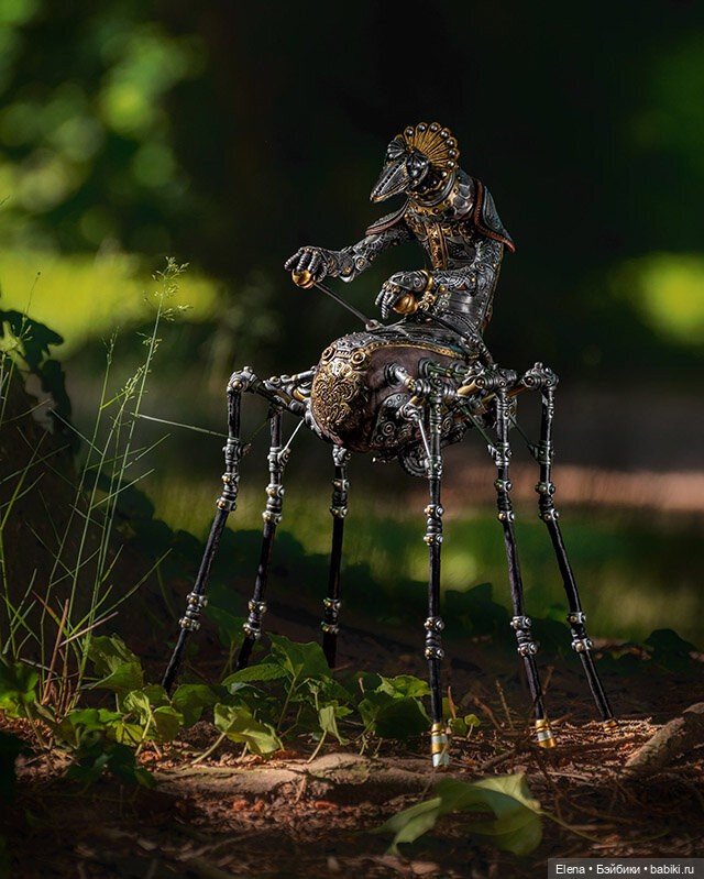 Насекомые, автор Georg Dinkel