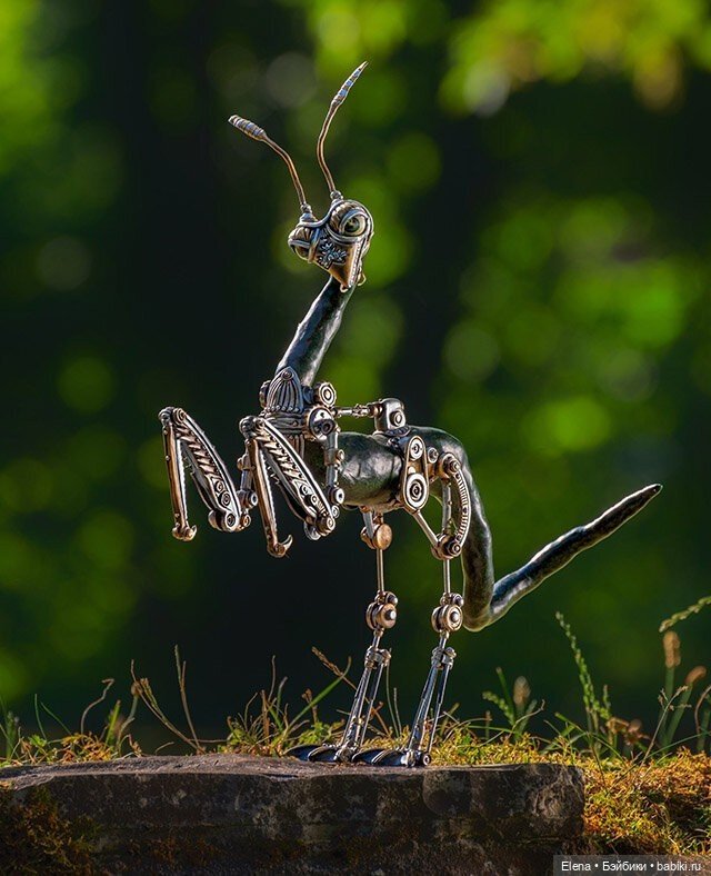 Насекомые, автор Georg Dinkel