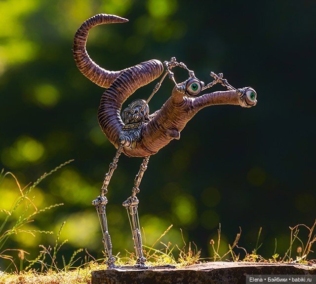 Насекомые, автор Georg Dinkel