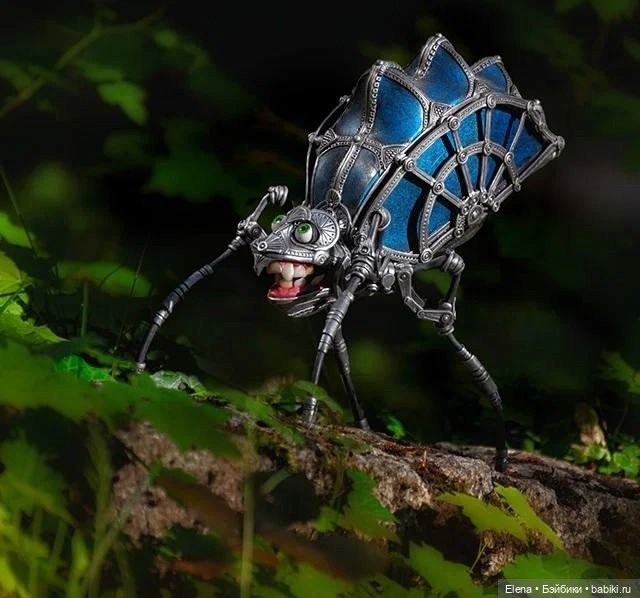 Насекомые, автор Georg Dinkel (фото 3)