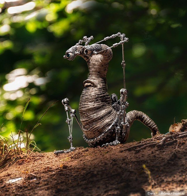 Насекомые, автор Georg Dinkel (фото 6)