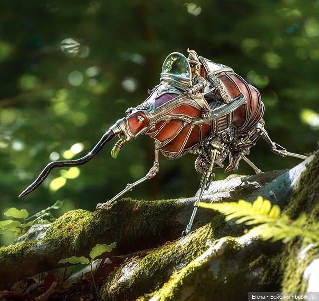 Насекомые, автор Georg Dinkel