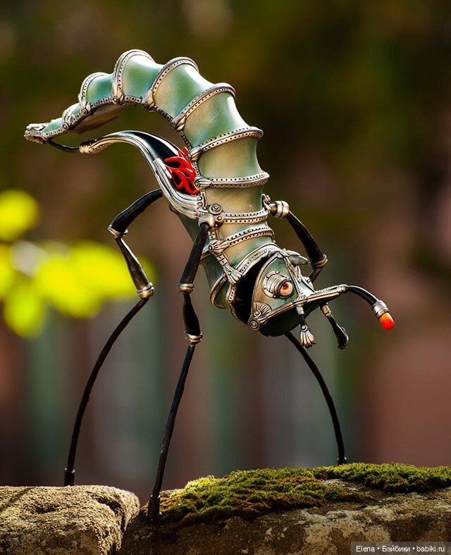 Насекомые, автор Georg Dinkel