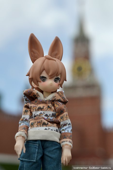 С зайцем весело гулять по просторам