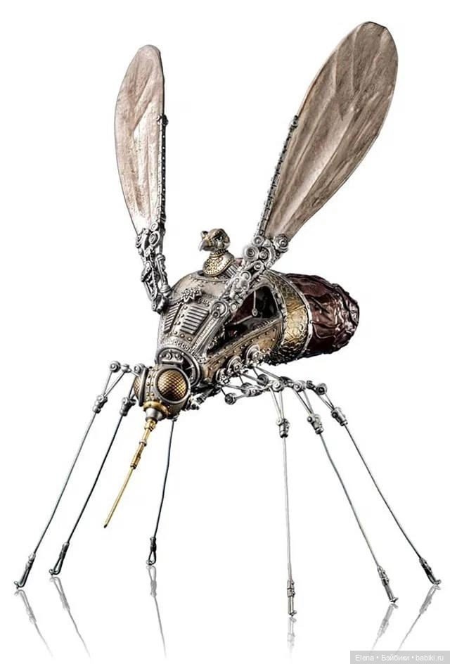 Насекомые, автор Georg Dinkel