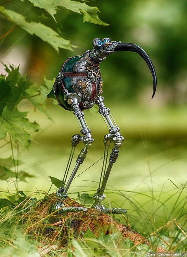 Насекомые, автор Georg Dinkel (фото 9)