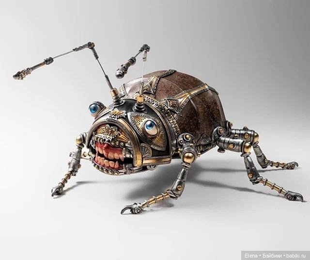 Насекомые, автор Georg Dinkel