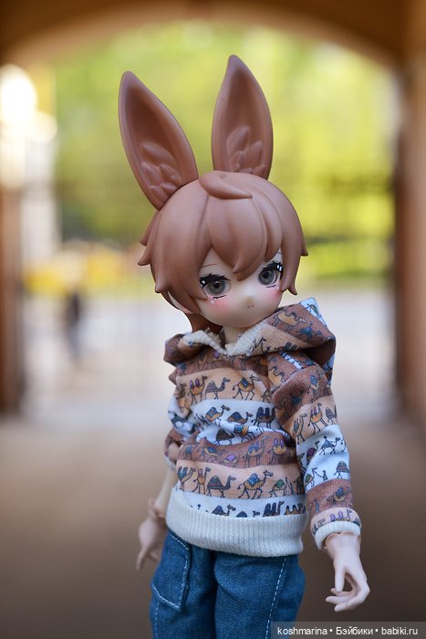 С зайцем весело гулять по просторам