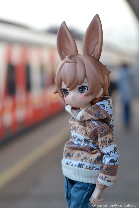 С зайцем весело гулять по просторам