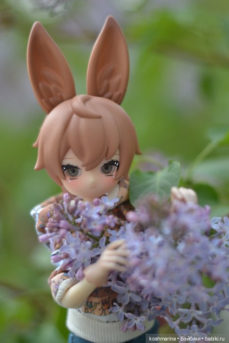 С зайцем весело гулять по просторам