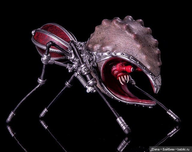 Насекомые, автор Georg Dinkel (фото 10)