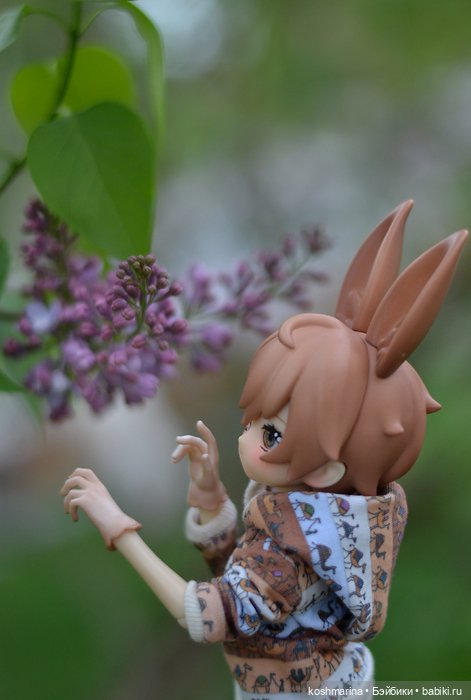 С зайцем весело гулять по просторам (фото 6)