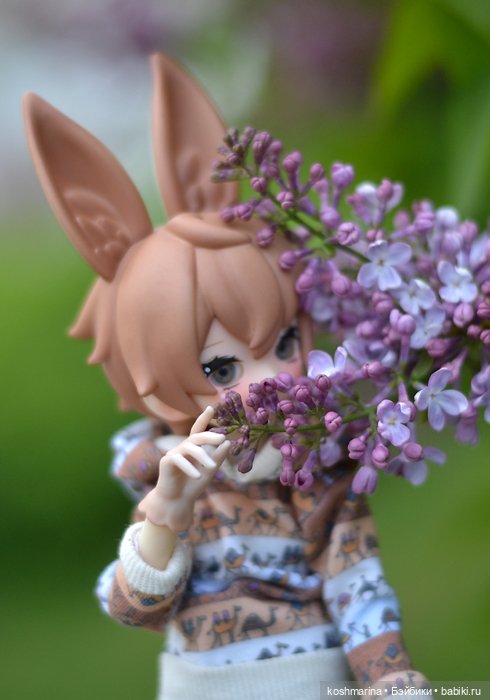 С зайцем весело гулять по просторам (фото 5)