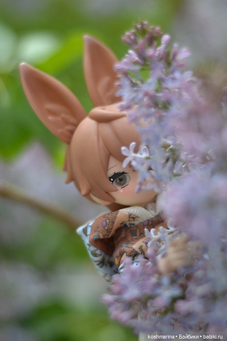 С зайцем весело гулять по просторам