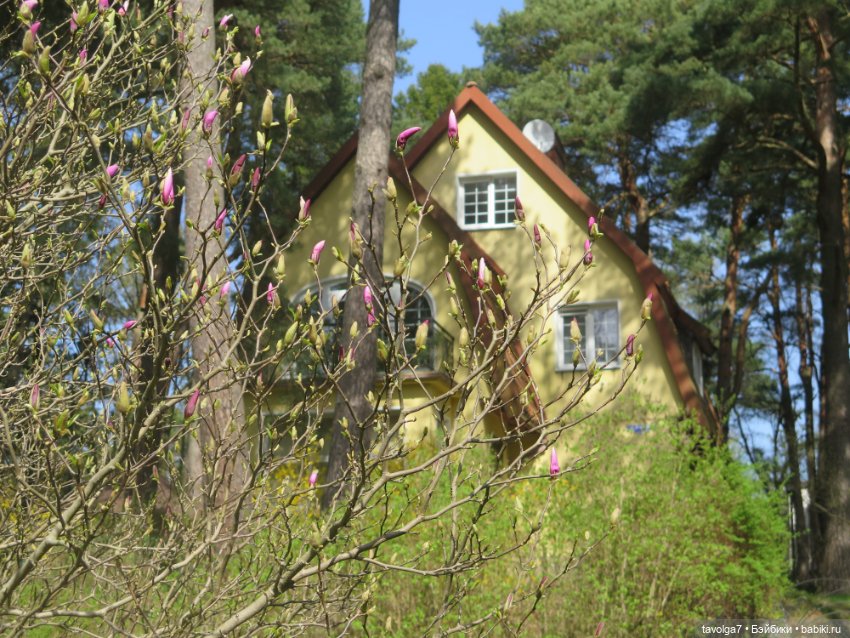 Бельтейн — Туризм и путешествия: фотоотчеты из поездок