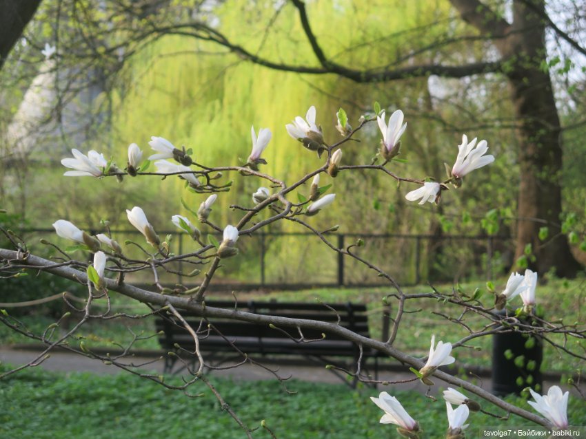Бельтейн — Туризм и путешествия: фотоотчеты из поездок (фото 7)