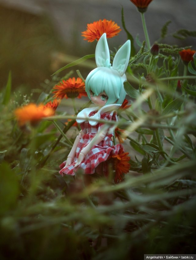 Яринта - самый залюбленный заяц