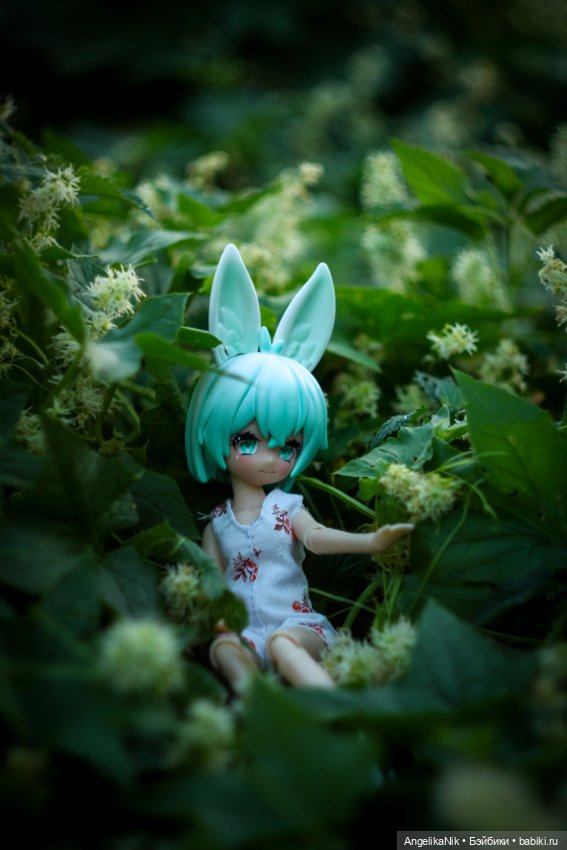 Яринта - самый залюбленный заяц (фото 2)