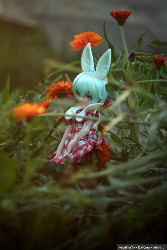 Яринта - самый залюбленный заяц