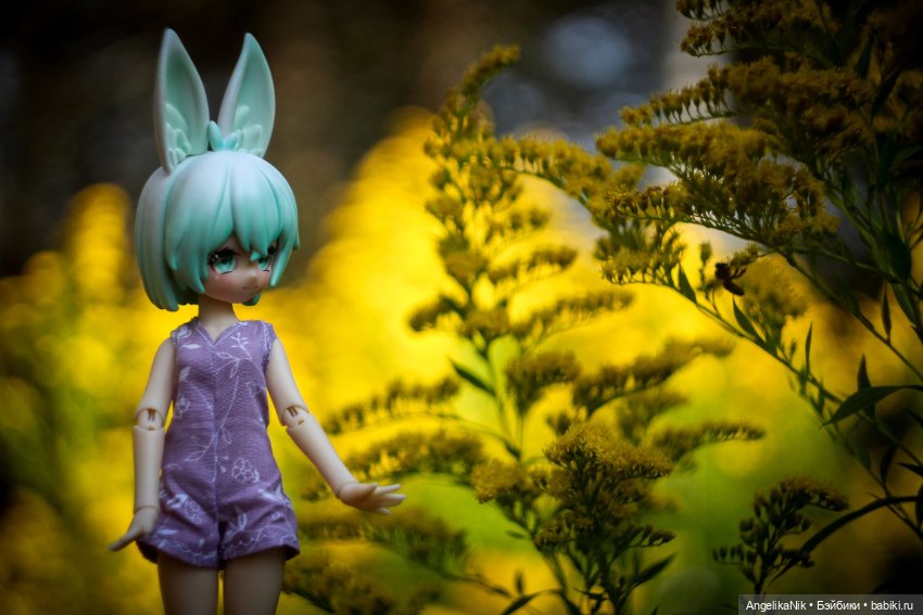 Яринта - самый залюбленный заяц (фото 5)