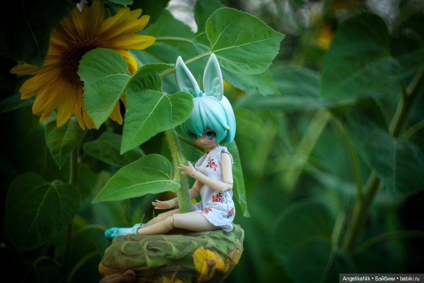 Яринта - самый залюбленный заяц