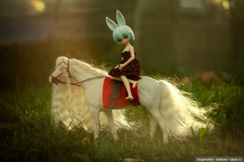 Яринта - самый залюбленный заяц