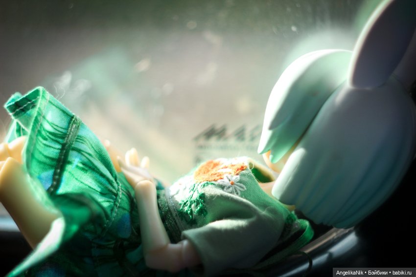 Яринта - самый залюбленный заяц