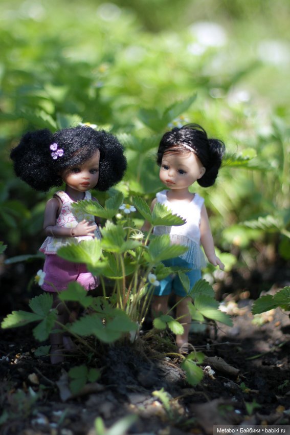 Мир. Труд. Май. Земляника. Мелкие