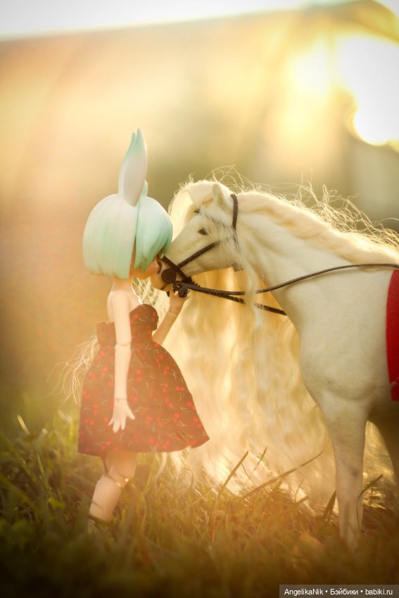 Яринта - самый залюбленный заяц