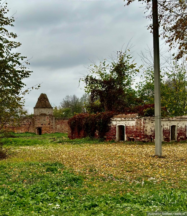 Хроники минувших дней — Гибриды шарнирных кукол (не БЖД): подбор тела (фото 7)