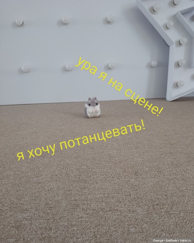 Мистер Хомяка😁 — Интересные игрушки и фигурки (разное): редкие