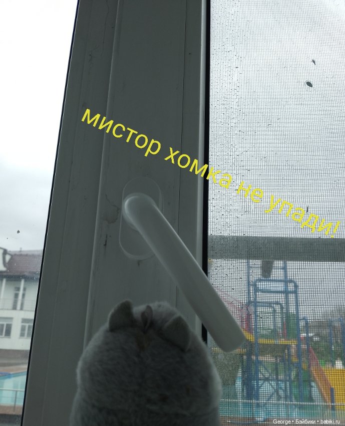 Мистер Хомяка😁 — Интересные игрушки и фигурки (разное): редкие (фото 3)