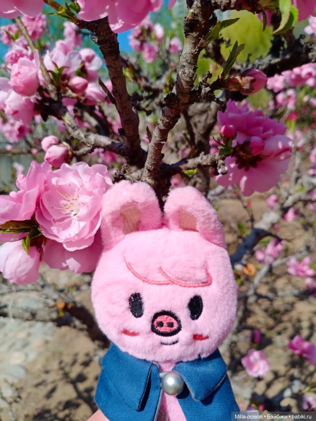 Dwaekki в Ботаническом саду