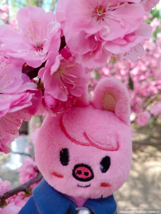 Dwaekki в Ботаническом саду (фото 2)