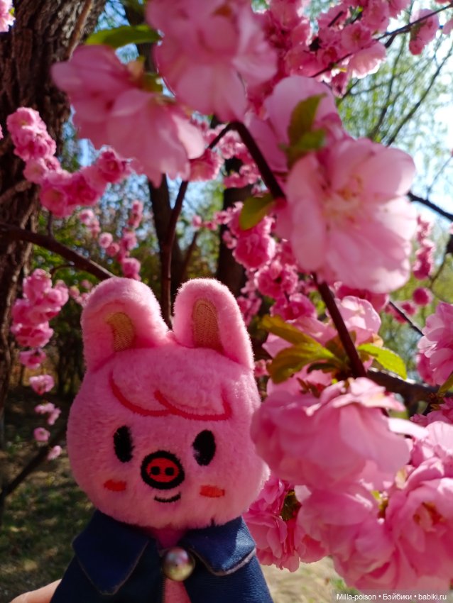 Dwaekki в Ботаническом саду