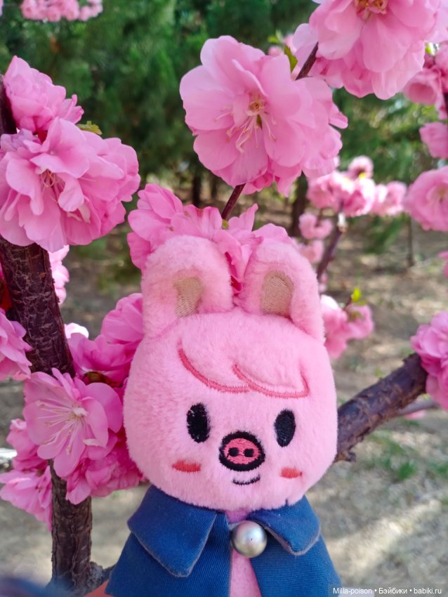 Dwaekki в Ботаническом саду (фото 5)