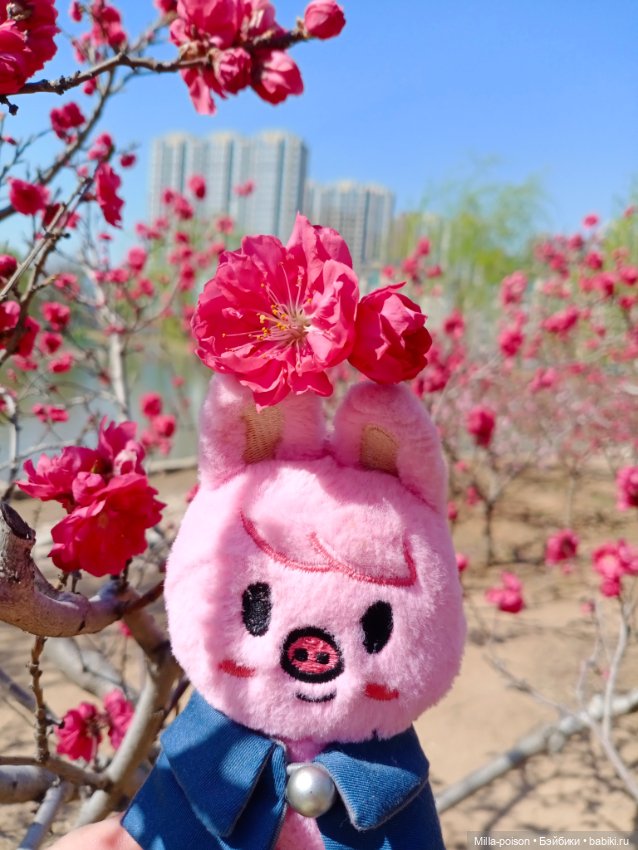 Dwaekki в Ботаническом саду (фото 10)