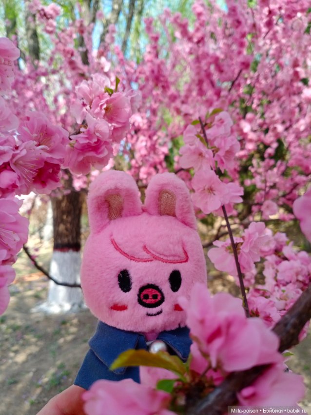 Dwaekki в Ботаническом саду (фото 6)