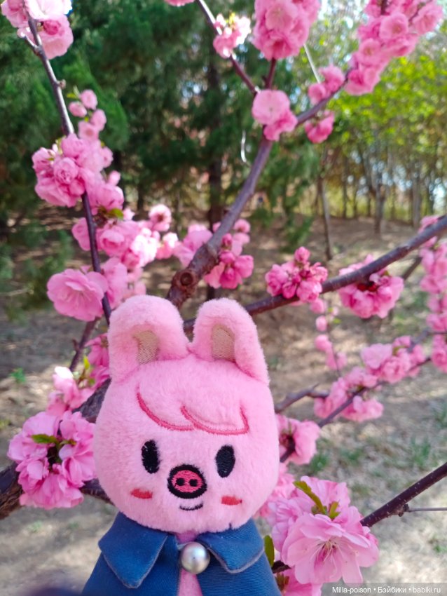 Dwaekki в Ботаническом саду (фото 7)