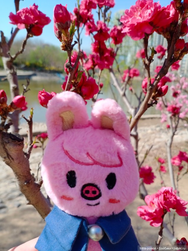 Dwaekki в Ботаническом саду