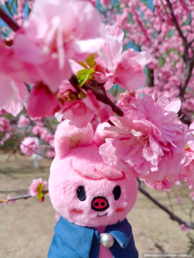 Dwaekki в Ботаническом саду (фото 8)