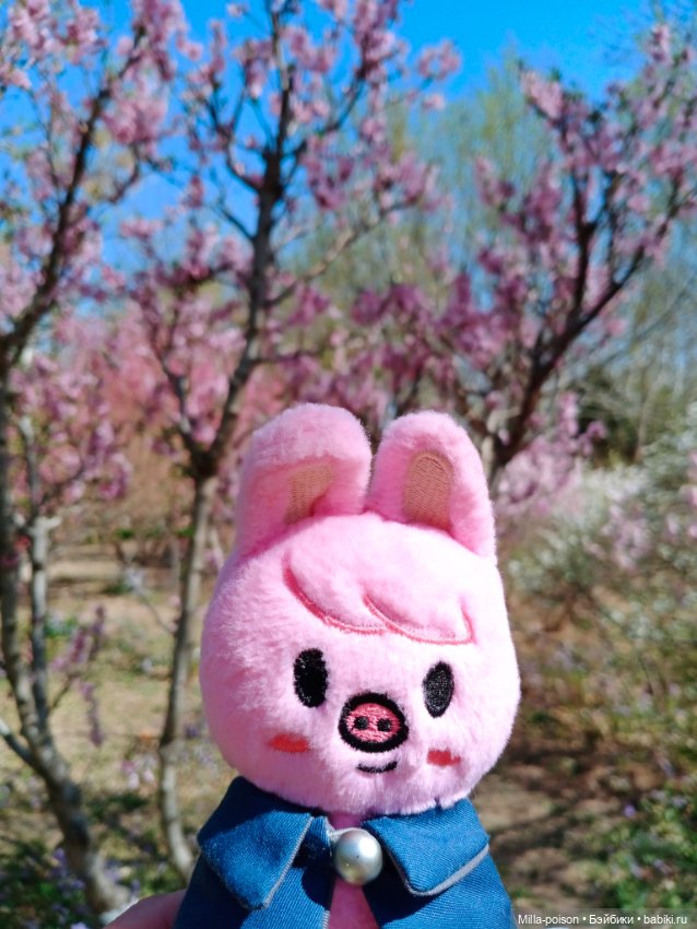 Dwaekki в Ботаническом саду