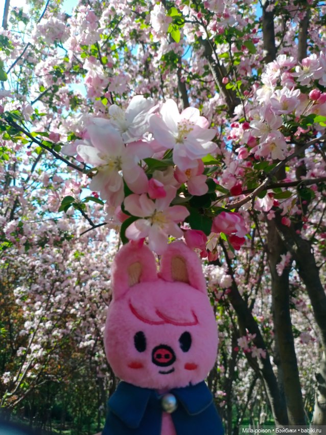 Dwaekki в Ботаническом саду