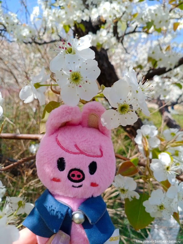 Dwaekki в Ботаническом саду