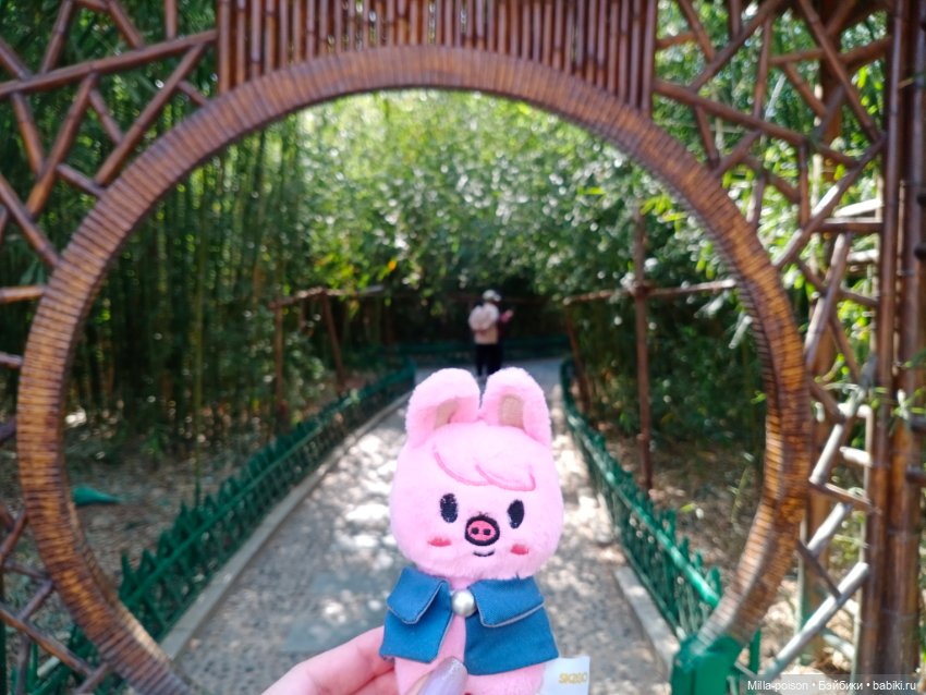 Dwaekki в Ботаническом саду