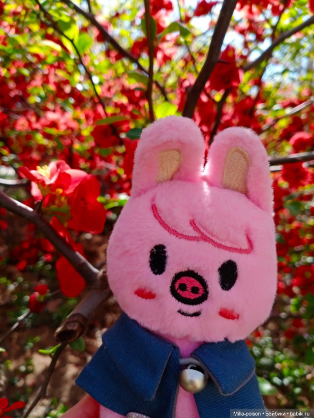 Dwaekki в Ботаническом саду