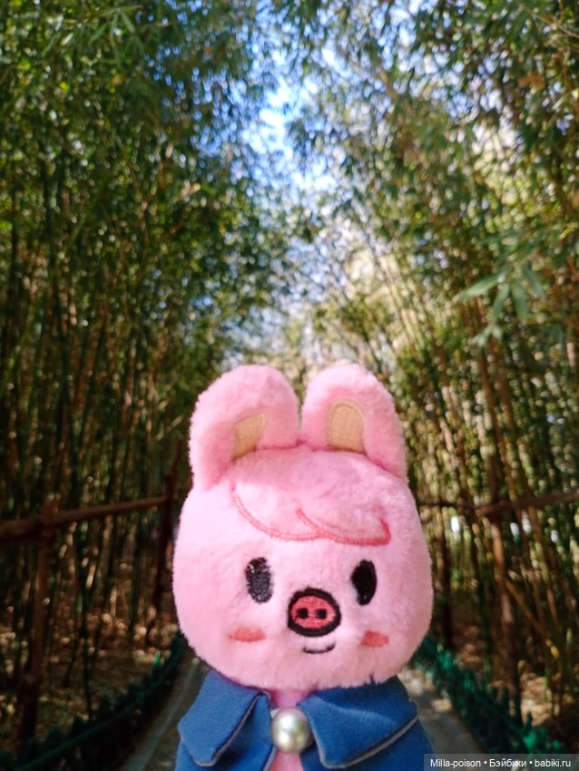 Dwaekki в Ботаническом саду