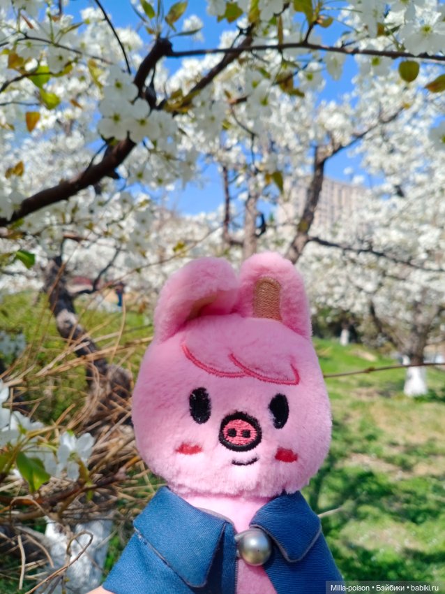 Dwaekki в Ботаническом саду