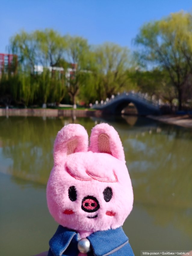 Dwaekki в Ботаническом саду